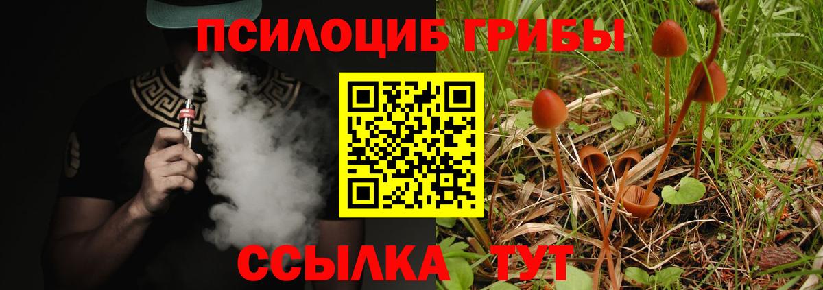 Псилоцибиновые грибы прущие грибы Темрюк