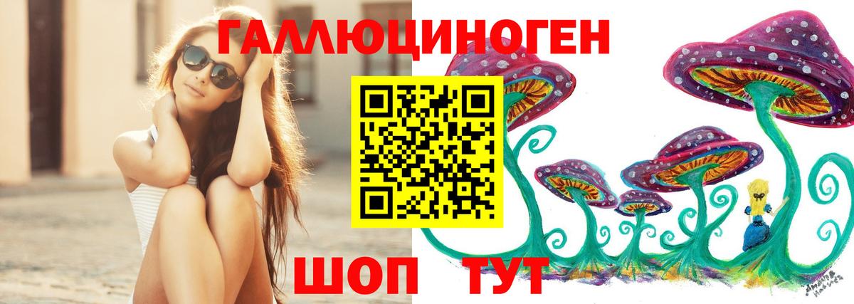 Галлюциногенные грибы MAGIC MUSHROOMS  купить   Псилоцибиновые грибы Psilocybine cubensis  Темрюк  Вход с VPN 